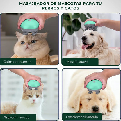 CapiLux™ - Masajeador 360º para el crecimiento del cabello y alivio del estrés 💆